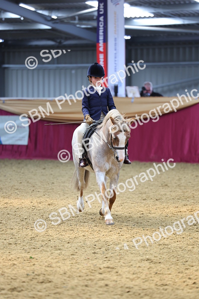 SBM_23978 - Class 905 - Supreme Final - Ridden Veteran