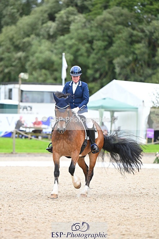 230813-142544-07755 - Cls 13 Medium Bronze 13.15 to End