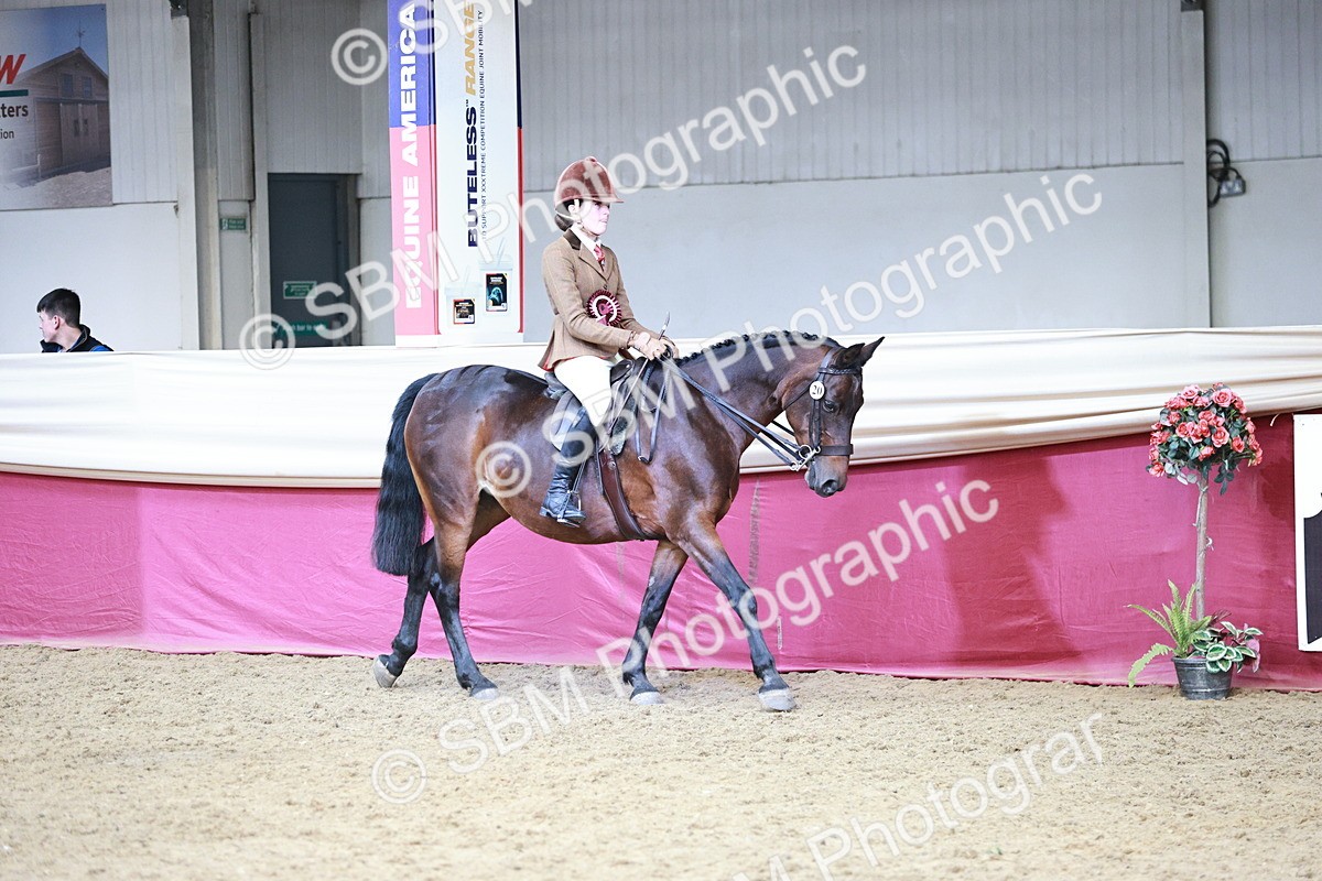 SBM_08618 - Regional Ridden Champ