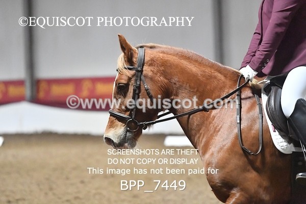 BPP_7449 - INTRO TEST 1