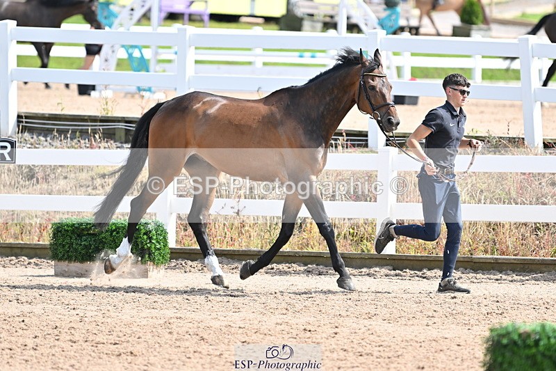 240717A-153432-02893 - Trot Up 3pm to 4pm