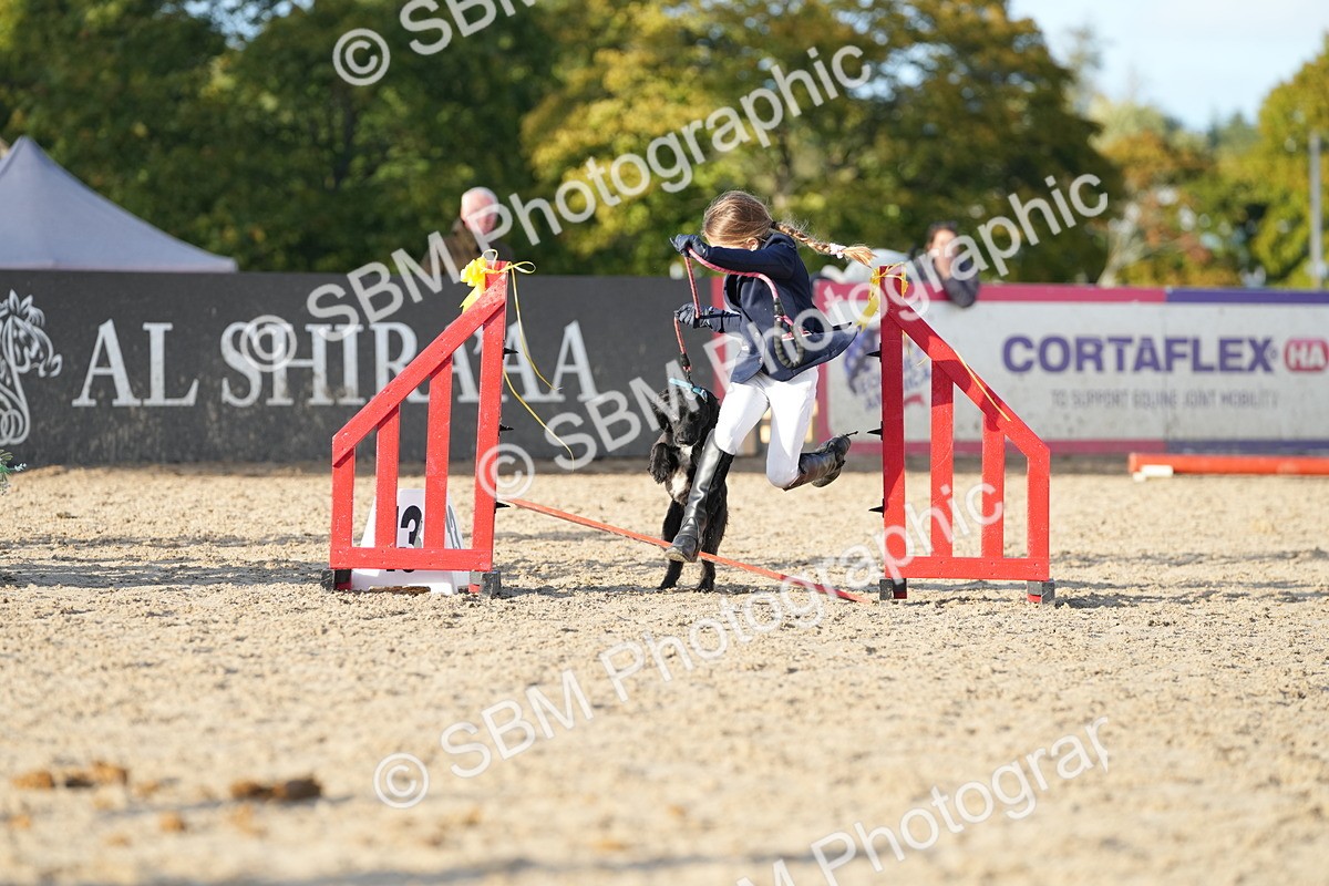 SBM_29393 - J44 - Horse & Hound Open 70cm