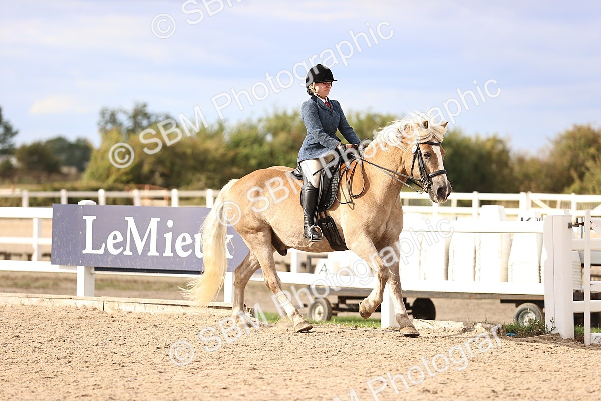 SBM_18172 - Class 423 - Equitation (best rider) Adult