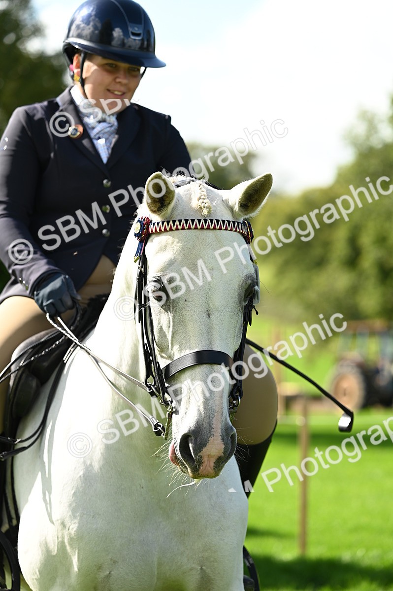 SBM_02123 - S2 - TSR Ridden Horse Showing