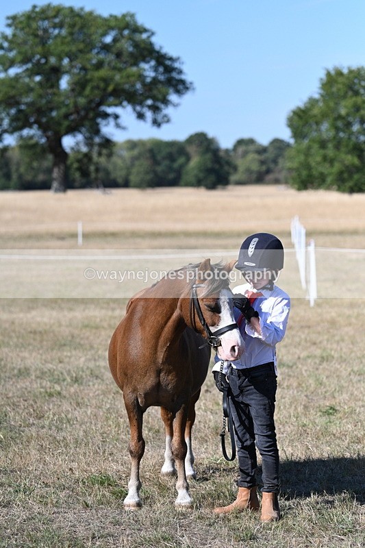 WJ7_2124 - Class 44 Child's Best Friend