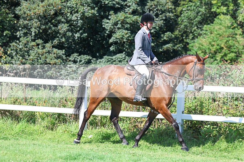 3E7A8325 - Class 4: Novice working Hunter