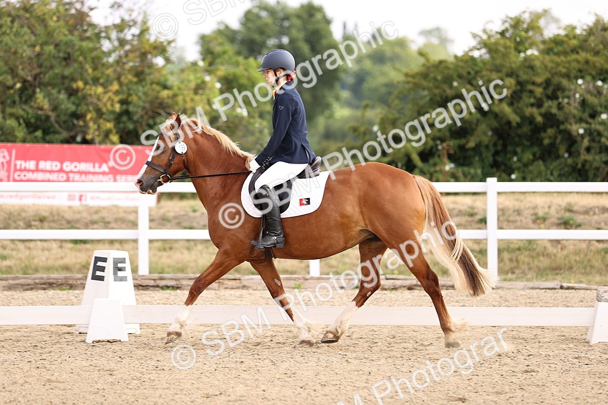 SBM_006472 - Intro 3 - 9.46-10.46