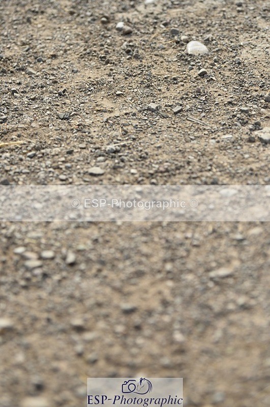 230817-095100-01680 - Kay's 1st Group - Arena