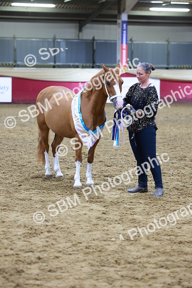 SBM_15303 - Class P - M&M Champ