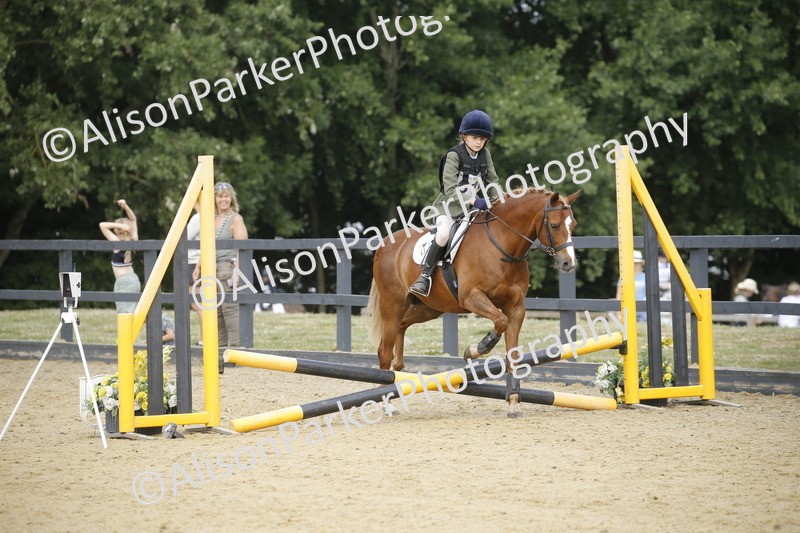 20250622-3752 - 50cm