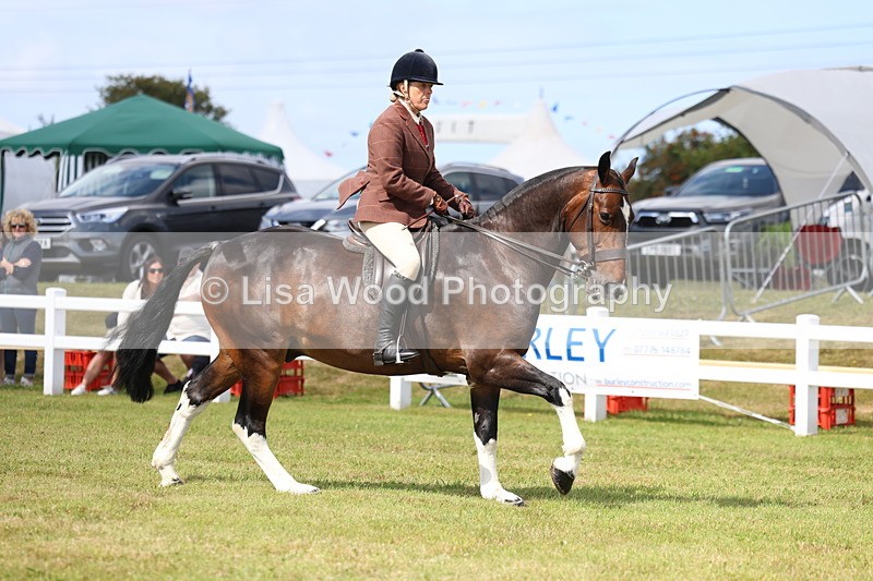 3E7A9719 - Class 5: Rising Star Lightweight/Heavyweight Cobs