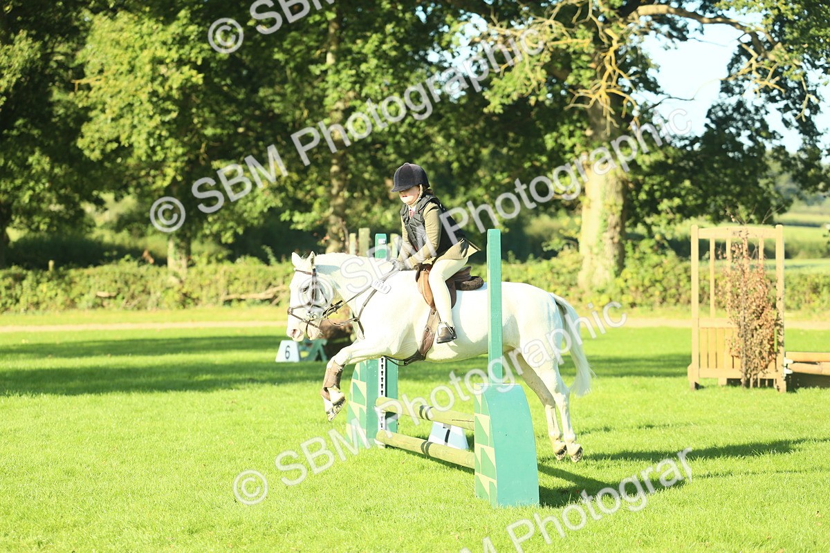 SBM_36284 - S29 - Novice & Newcomers Working Hunter Pony