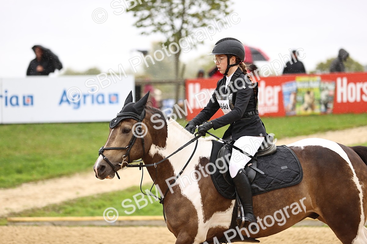 SBM_68971 - J18 - Junior Pony 85cm championship