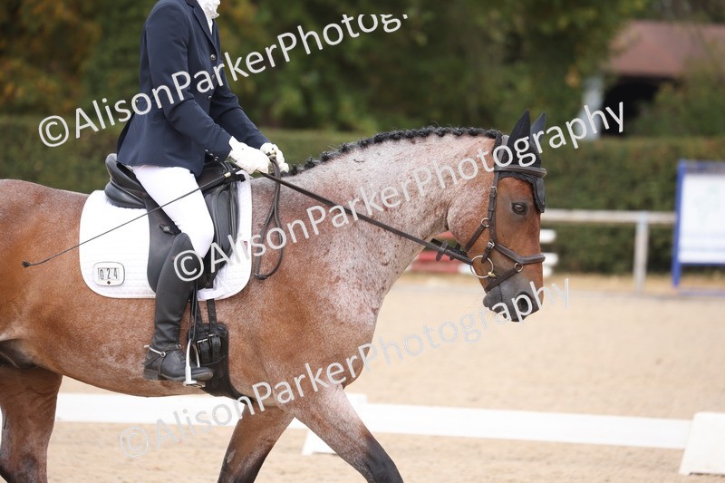 20260816-0876 - Class 3 - Novice 4
