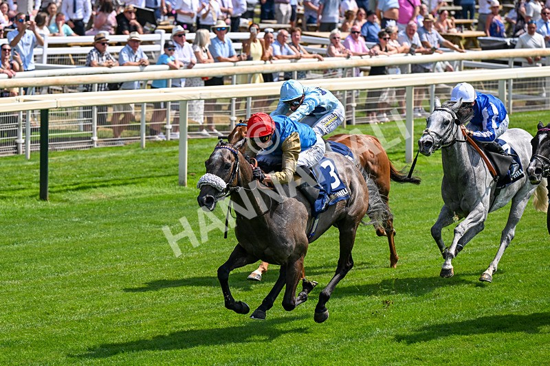 100726-Race 2-Flora Of Bermuda-0182 - Race 2 14.45pm William Hill Summer Stakes
