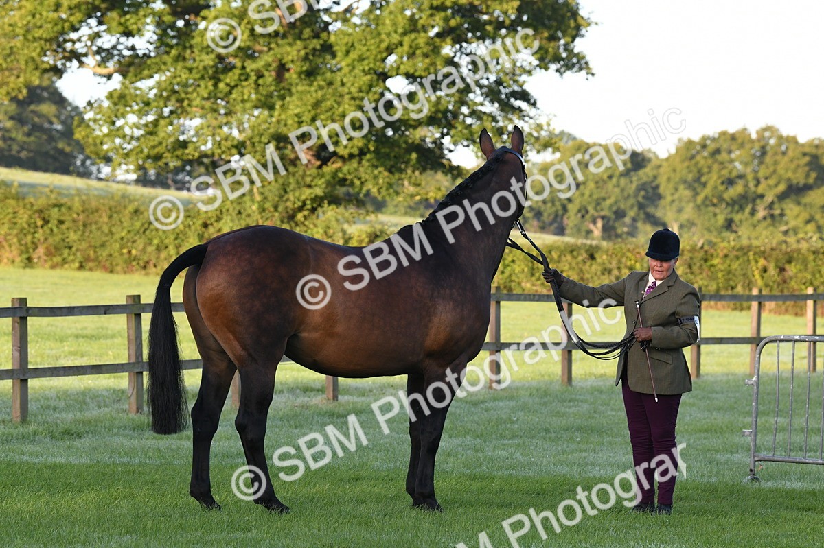 SBM_32590 - S15 - Condition & Turnout In Hand