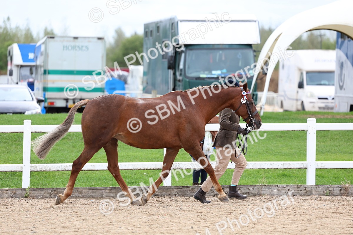 SBM_05843 - Class 29 - IH Veteran Pony