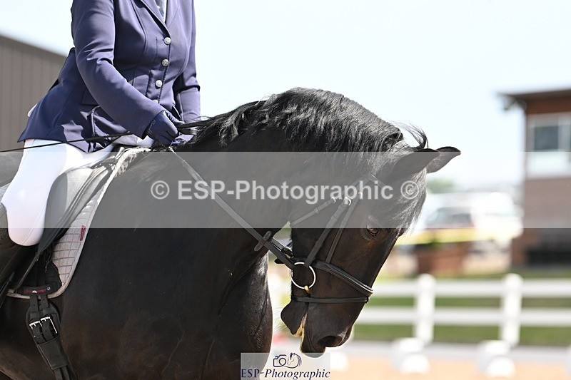 250620-104128-02665 - BD Cls 4 - Novice 5, Start to 11.30am