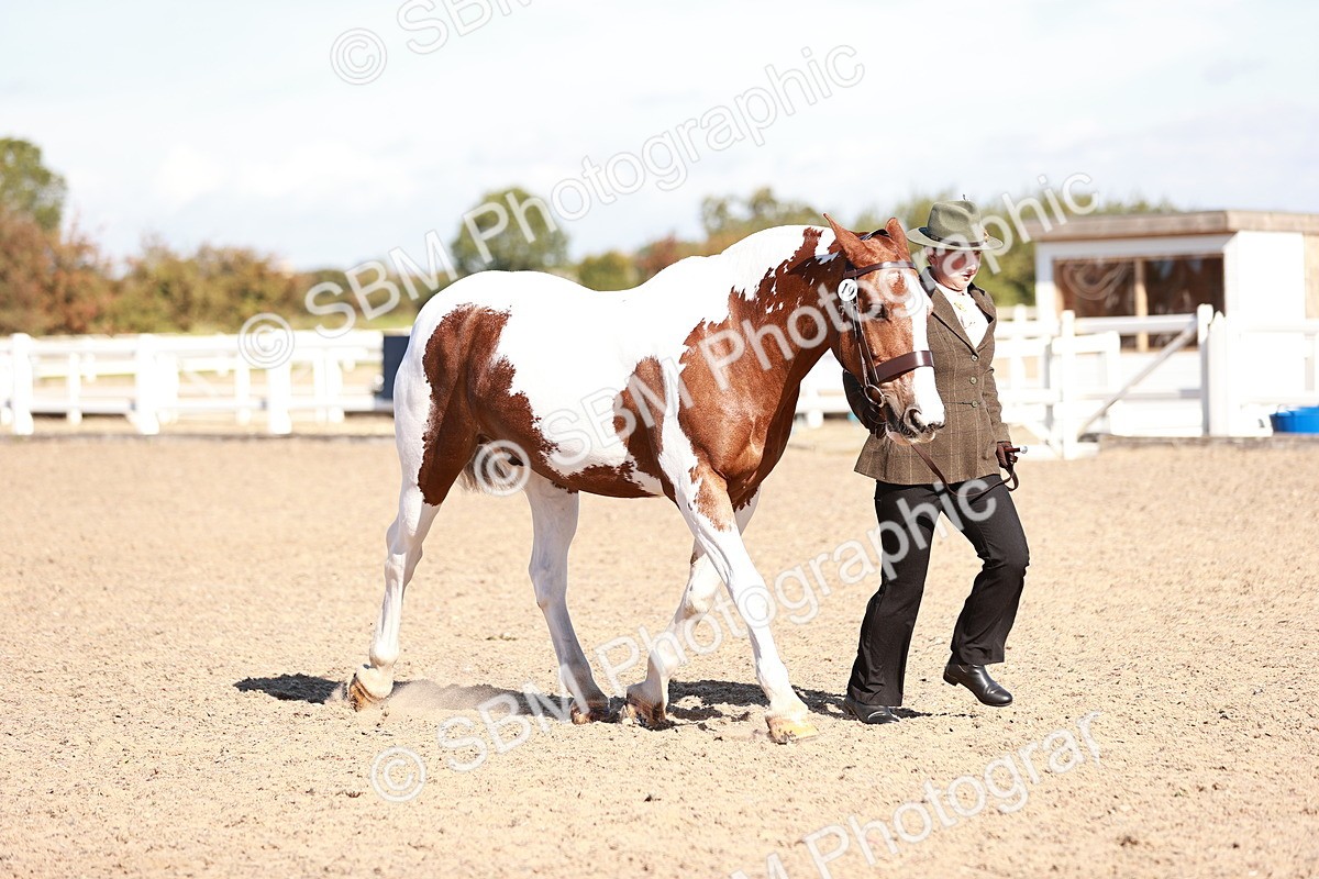 SBM_13239 - Class 405 - IH Show Cob