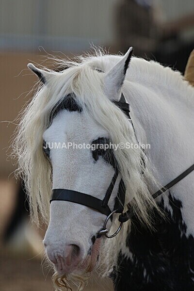 SIAL0906 - Indoor Classes