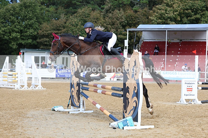 3E7A9109 - Class 9: Senior British Novice/90cm open