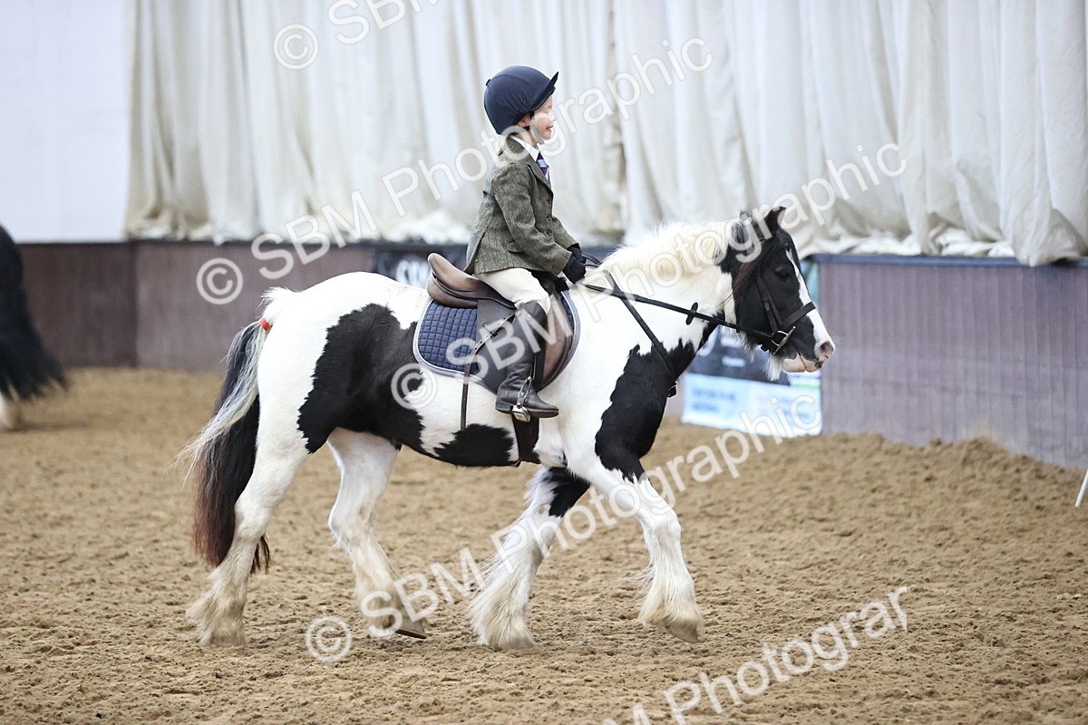 SBM_000178 - Class 2 - The Rug Lady 40cm Area 12 Championship Qualifier