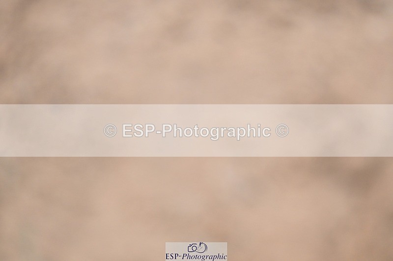 241127-130517-00614 - Cls 04A&B Snr Newc & 1.10m Open