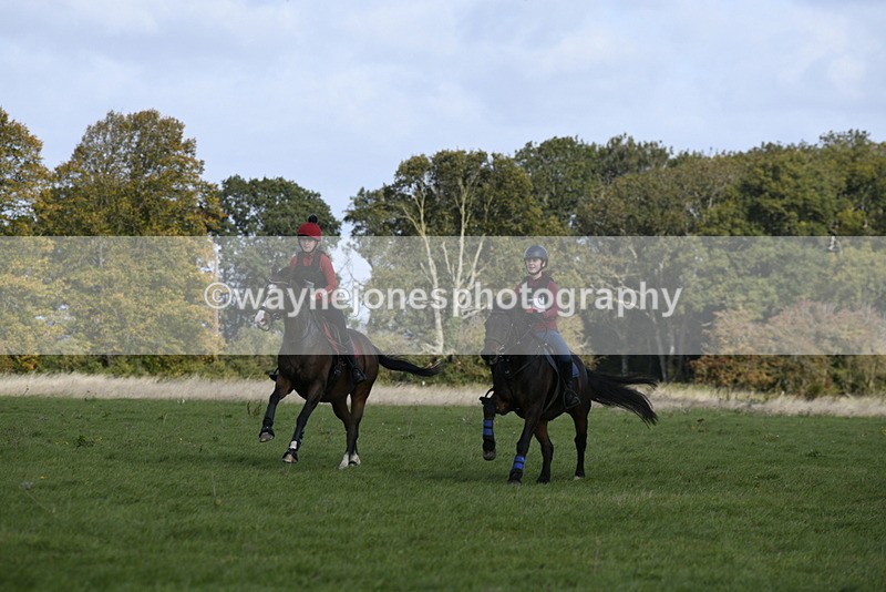 _DSC5946 - Time 11:23 to 12:05