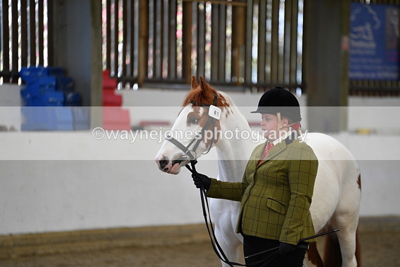 WJ5_4036 - Class 2 Best Condition In hand