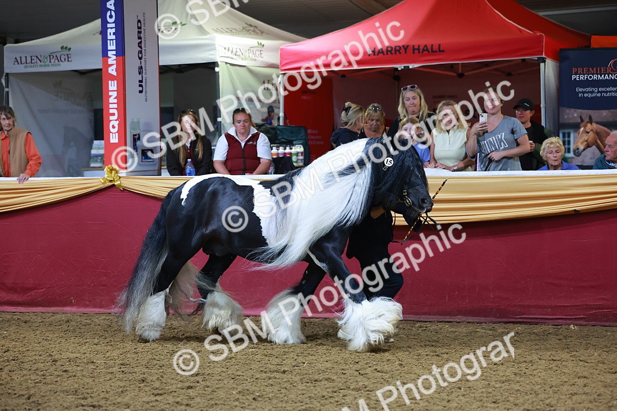 SBM_14896 - Class L - Coloured Champ