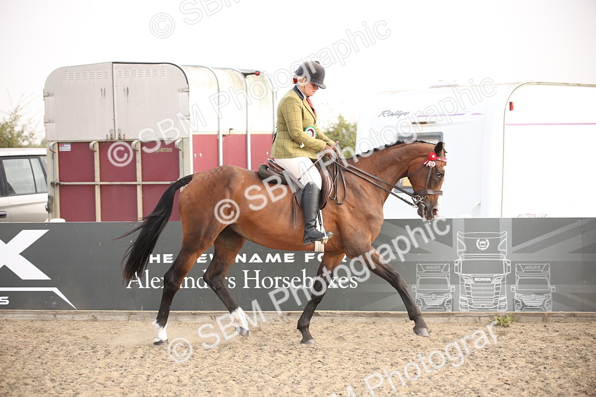 SBM_10286 - Class 402 Riding Club Horse