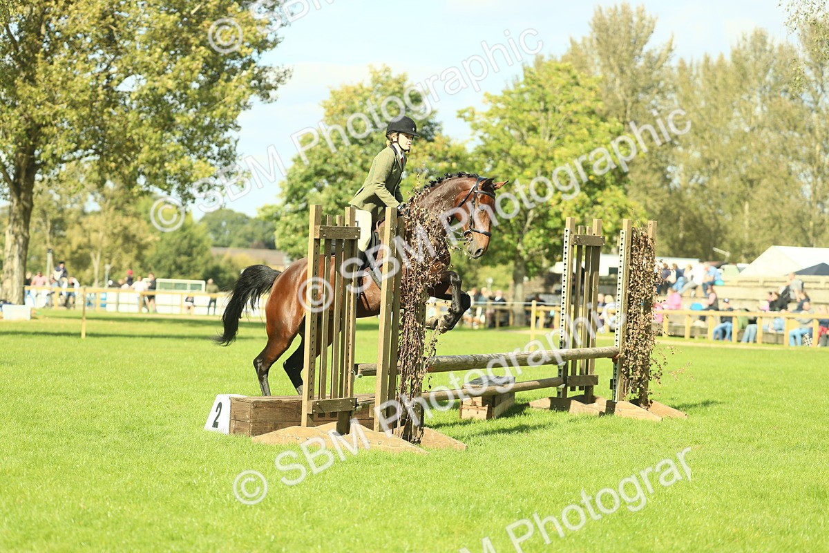 SBM_48083 - S32 - Novice & Newcomers Working Hunter