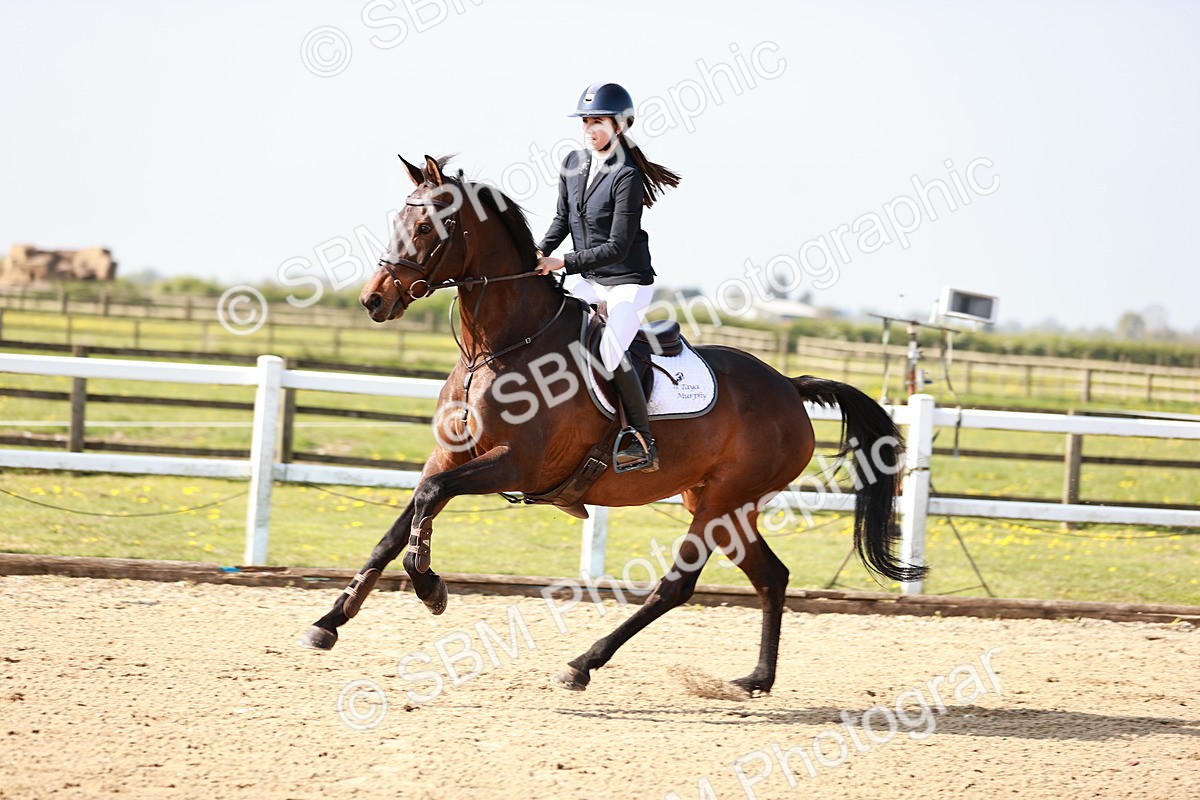  - Class 21 - Senior British Novice - 90cm
