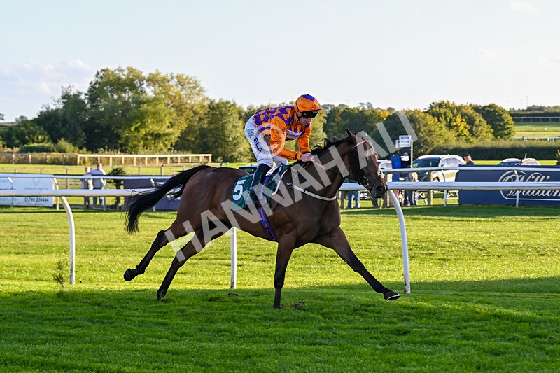 300926-Race 7-Prince Of Calypso-7075 - Race 7 5.25pm Amstel Gallop Handicap