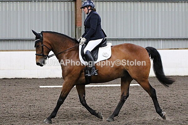 SIAL4882 - CAbin Dressage 5th july 2025
