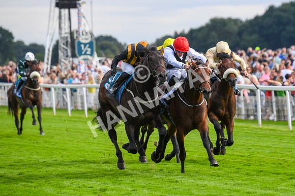 280723-Race 3-Loose Cannon-0291 - Race 3 6.05pm Ire-Incentive, It Pays To Buy Irish EBF Restricted Novice Stakes