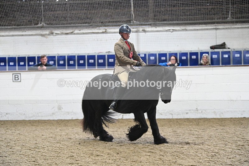 WJ7_4537 - Afternoon Champs