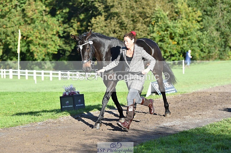 231022-101332-22317 - 468-PRIMITIVE.DAYLIGHT-Alexandra.Erskine.Scott-TrotUp+SJ