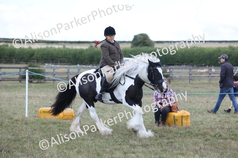 20250831-4235 - Class 20 - Ridden Coloured