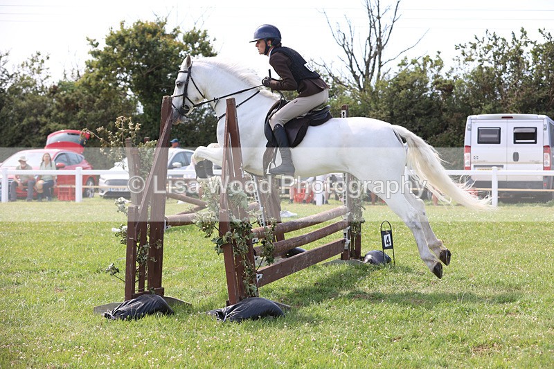 JPP_3705 - Class 23: Working Hunter 80cm
