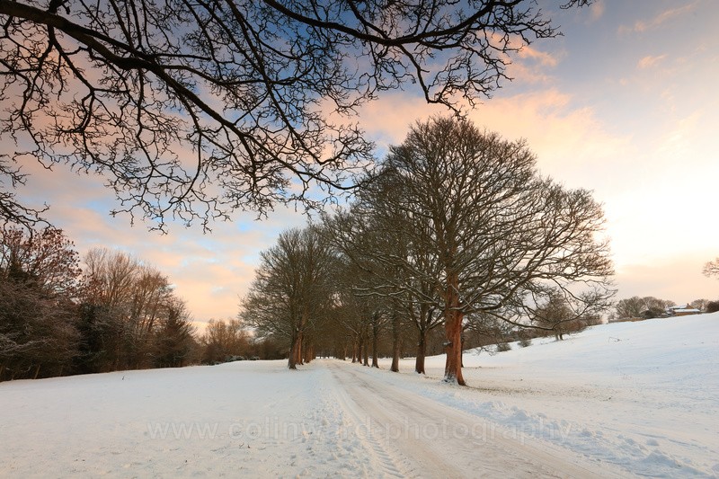 The Avenue, Croxdale - County Durham