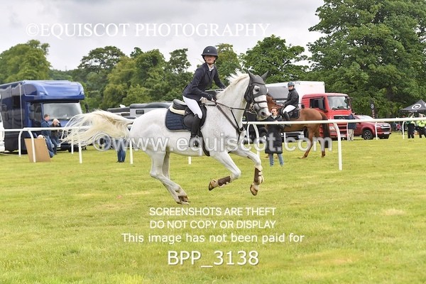 BPP_3138 - CLASS 2 SENIOR FOX/1.20M OPEN