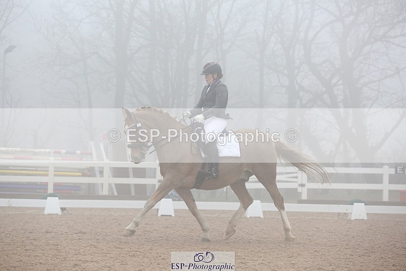 240217A-125933-03009 - 103-Ruth.Saunders-Dizzy.Rascal.VII