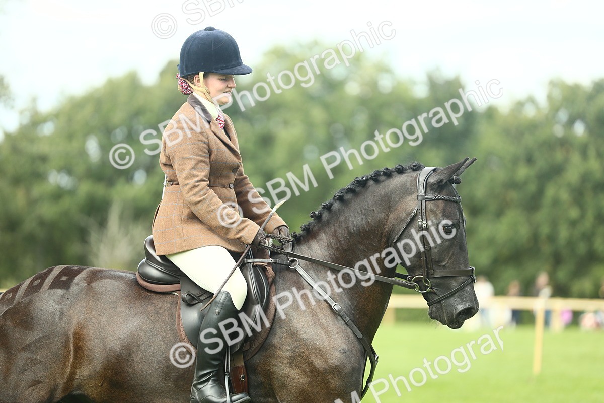 SBM_44756 - S31 - Working Hunter Pony