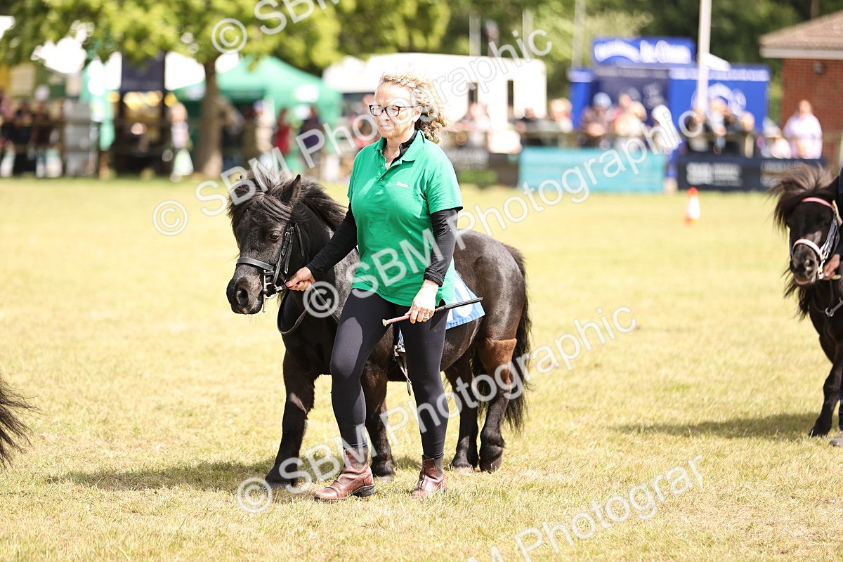 SBM_16388 - Dinky Derby