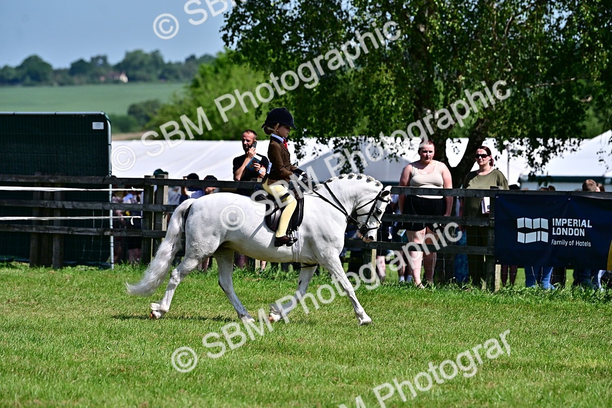 SBM_13872 - Class 95-97 - BSPS LHS Performance Ponies