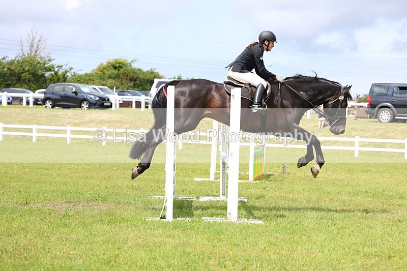 3E7A7453 - Class 13: Senior British Novice/90cm open