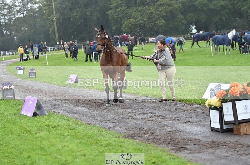 231018-121656-00182 - 025-LYRICAL.II-Harriet.Dickin-TrotUp