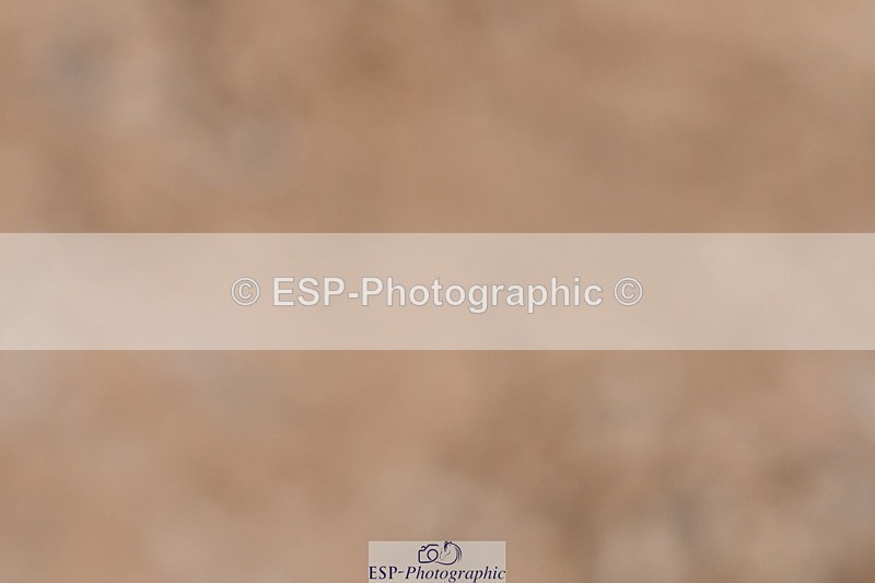 240107A-134112-01917 - UnAff Novice 28 and 30