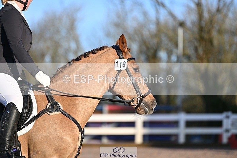 250125-090227-00011 - Dressage - CT Class 1 & 2 Intro 1